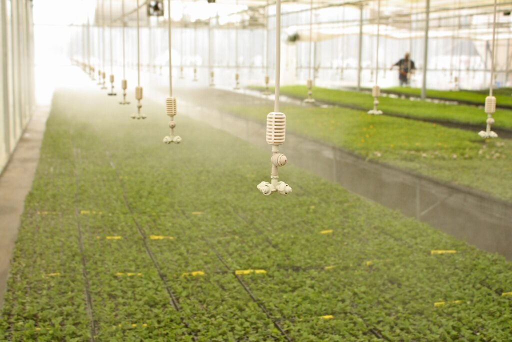 rega no cultivo mineral frequencia inteligente