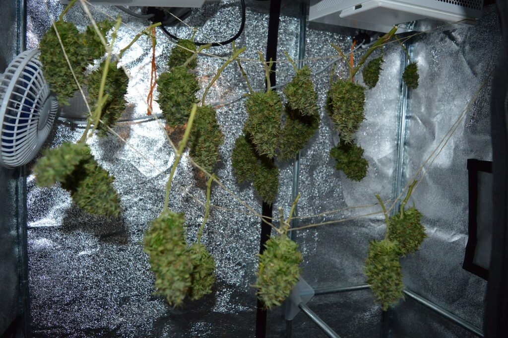 resposta rapida da planta no mineral