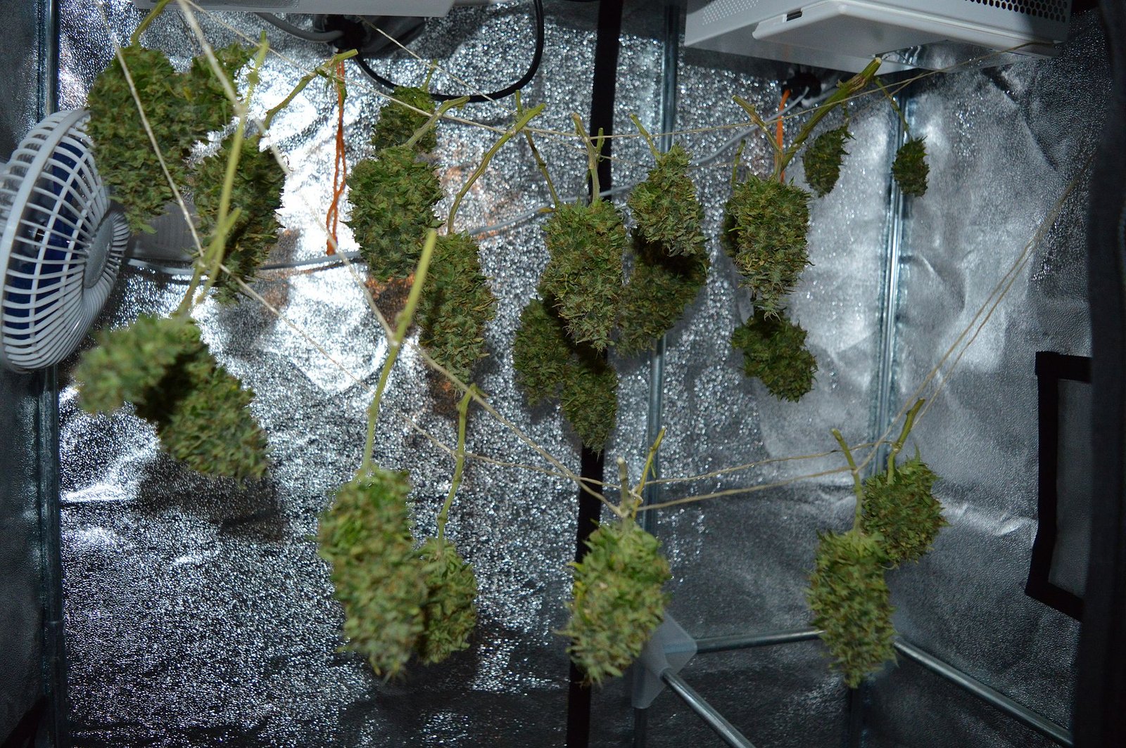 resposta rapida da planta no mineral