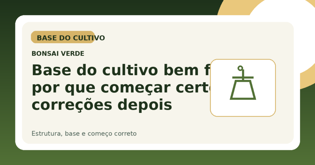 Base do cultivo bem feita: por que começar certo evita correções depois | Bonsai Verde