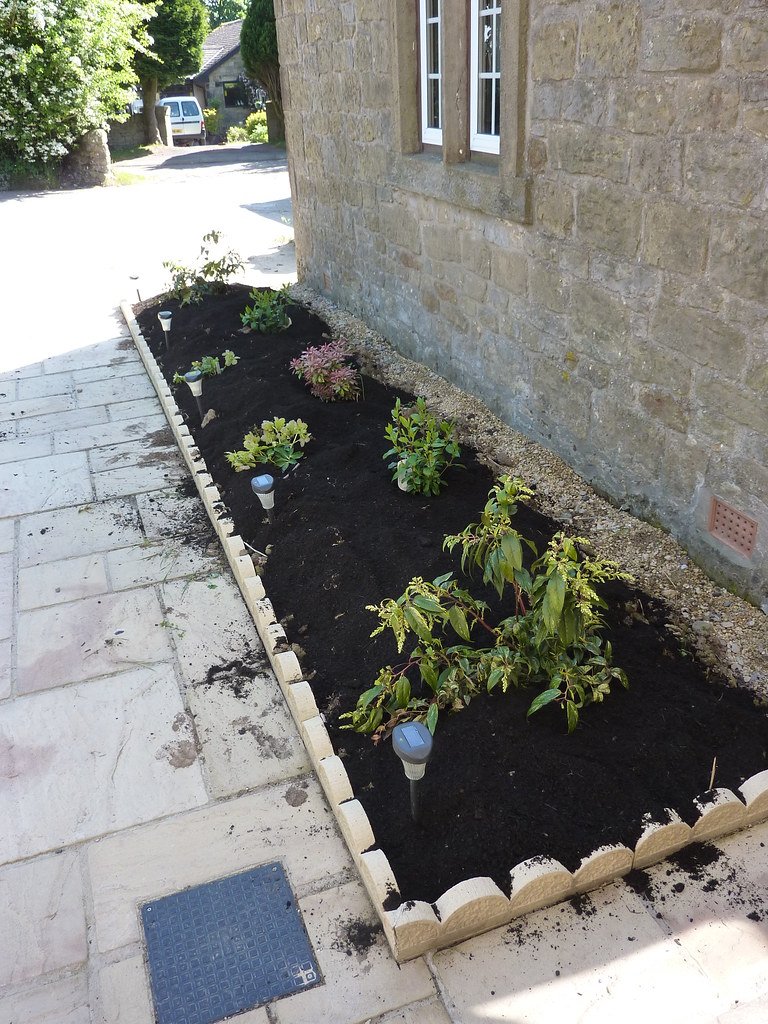Composto orgânico e mulch sobre o solo