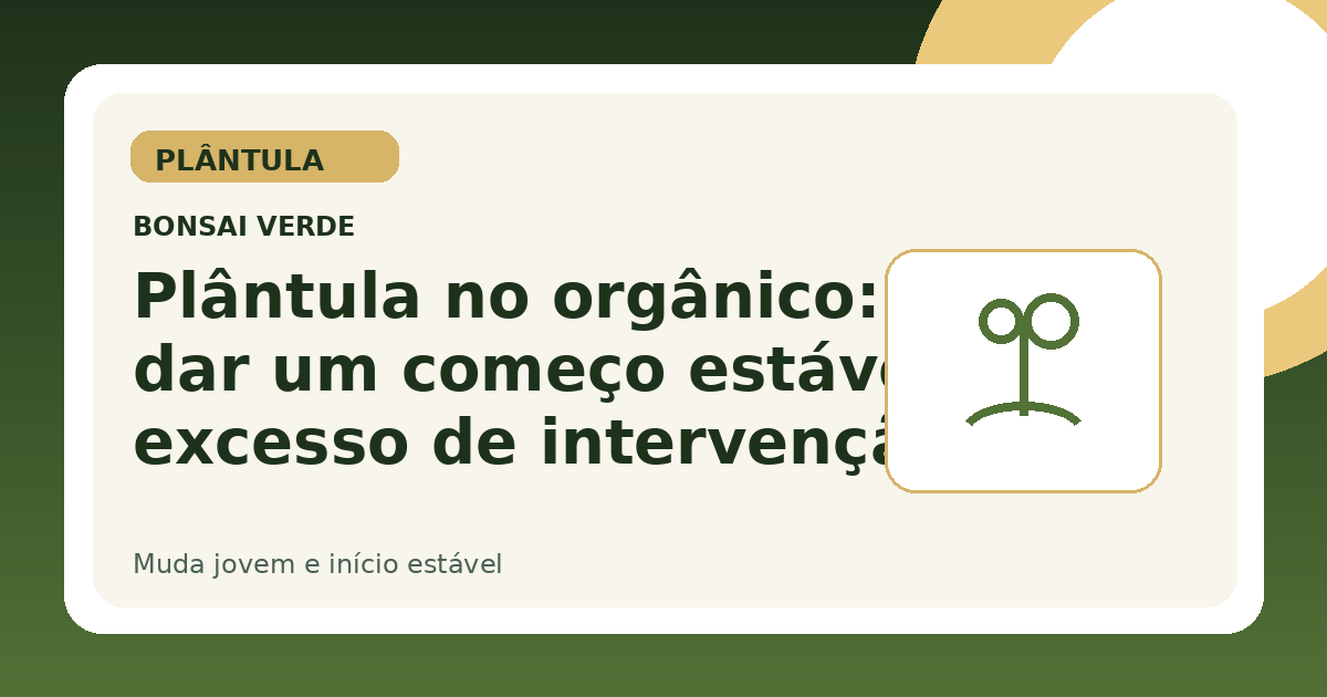 Plântula no orgânico: como dar um começo estável sem excesso de intervenção